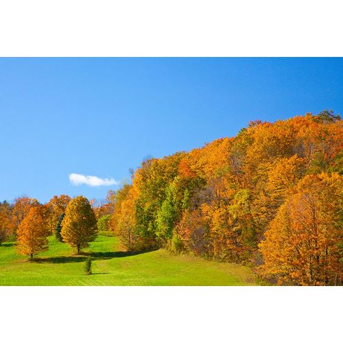 Gulin, Sylvia 아티스트의 USA-New England-Vermont작품입니다.